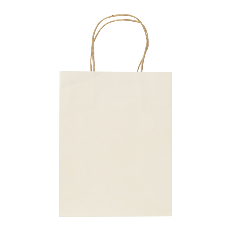 Bag Made from Agricultural Waste - Image 2